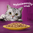 WHISKAS Adult 85g vrecúško krmiva pre dospelé mačky v želé s kuracím mäsom