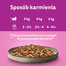 WHISKAS Pure Delight Hydinové pochúťky s kuracím, morčacím, hydinovým a kačacím v želé 12x85g