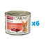 ANIMONDA Carny Kitten zestaw Wołowina/Serce Indyka 6 x 200 g