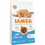 IAMS for Vitality pre dospelé mačky s oceánskymi rybami 3 kg