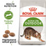 ROYAL CANIN Outdoor 30 suché krmivo pre dospelé mačky, ktoré chodia von 2x 2 kg