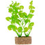 Trixie Plastové rastliny s podkladovým pieskom 20 cm