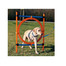 TRIXIE Agility kruh preskakovací 78 x 115cm