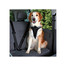 TRIXIE Bezpečnostný pás do auta pre psa (XL) 80-100 cm / 25 mm