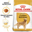 ROYAL CANIN Golden Retriever Adult 3kg granule pre dospelého zlatého retrievera
