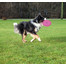 TRIXIE Svieťací Dog Disc ružový Ø 20 cm