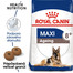 ROYAL CANIN Maxi ageing 8+ 15 kg
