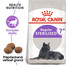 ROYAL CANIN Sterilised 7+ granule 3,5kg pre starnúce kastrované mačky