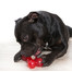 COMFY Zabawka Strong Dog Bone 16,5cm