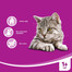 WHISKAS Dentabits na čistenie zubov 40g