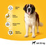 PEDIGREE Dry adult large dog hovädzie 15 kg