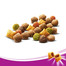WHISKAS granule s tuniakom 14 kg
