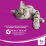 WHISKAS Rybne Dania Galaretka 4x100g
