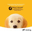 PEDIGREE Junior s kuracím mäsom a ryžou 8,4 kg
