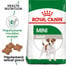 ROYAL CANIN Mini Adult 8kg