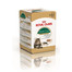 ROYAL CANIN Mainecoon 85 g saszetka 6x85 g