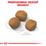 ROYAL CANIN Giant Puppy 15 kg granule pre obrie šteňatá