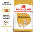 ROYAL CANIN Chihuahua Adult 500g granule pre dospelú čivavu