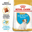 ROYAL CANIN Jack Russell Puppy 0.5 kg granule pre šteňa jack russell teriéra