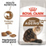 ROYAL CANIN Ageing 12+ granule pre staré mačky 2kg