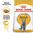 ROYAL CANIN British Shorthair Adult 10kg granule pre dospelé britské krátkosrsté mačky