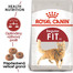 ROYAL CANIN Fit 10kg granule pre správnu kondíciu mačiek