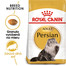 ROYAL CANIN Persian Adult 10kg granule pre perzské mačky