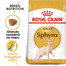 ROYAL CANIN Sphynx Adult 10 kg granule pre sphynx mačky