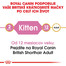 ROYAL CANIN British Shorthair Kitten 10kg granule pre britské krátkosrsté mačiatka