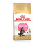 ROYAL CANIN Maine Coon Kitten 4kg granule pre mainské mývalie mačiatka