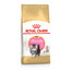 ROYAL CANIN Persian Kitten 400g granule pre perzské mačiatka
