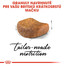 ROYAL CANIN British Shorthair Adult 10kg granule pre dospelé britské krátkosrsté mačky