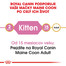 ROYAL CANIN Maine Coon Kitten 10kg granule pre mainské mývalie mačiatka
