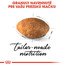 ROYAL CANIN Persian Adult 10kg granule pre dospelé perzské mačky