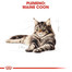 ROYAL CANIN Maine Coon Adult 10kg granule pre dospelé mainské mývalie mačky