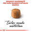 ROYAL CANIN Maine Coon Adult 10kg granule pre dospelé mainské mývalie mačky
