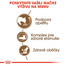 ROYAL CANIN Ageing 12+ granule pre staré mačky 2kg