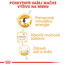 ROYAL CANIN British Shorthair Gravy 12x85g