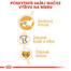 ROYAL CANIN British Shorthair Adult 2kg granule pre britské krátkosrsté mačky