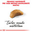 ROYAL CANIN British Shorthair Kitten 400g granule pre britské krátkosrsté mačiatka