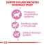 ROYAL CANIN Kitten Sterilised 400g granule pre kastrované mačiatka