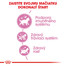 ROYAL CANIN Kitten 2kg