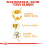 ROYAL CANIN Ragdoll Adult 10kg granule pre ragdoll mačky
