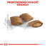 ROYAL CANIN Ageing 12+ granule pre staré mačky 4kg