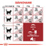 ROYAL CANIN Fit 4kg granule pre správnu kondíciu mačiek