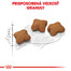 ROYAL CANIN Kitten Sterilised 2kg granule pre kastrované mačiatka