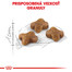 ROYAL CANIN Kitten 2kg