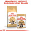 ROYAL CANIN Maine Coon Adult 400g granule pre dospelé mainské mývalie mačky