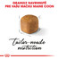 ROYAL CANIN Maine Coon Kitten 10kg granule pre mainské mývalie mačiatka