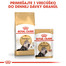 ROYAL CANIN Persian Adult 10kg granule pre dospelé perzské mačky